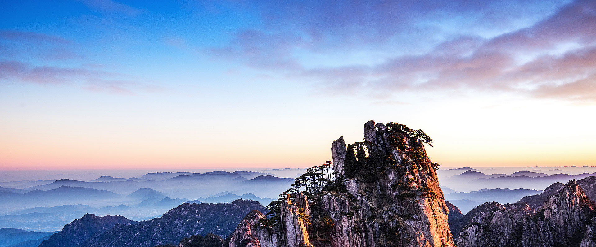 立异驱动生长 治理提升效益